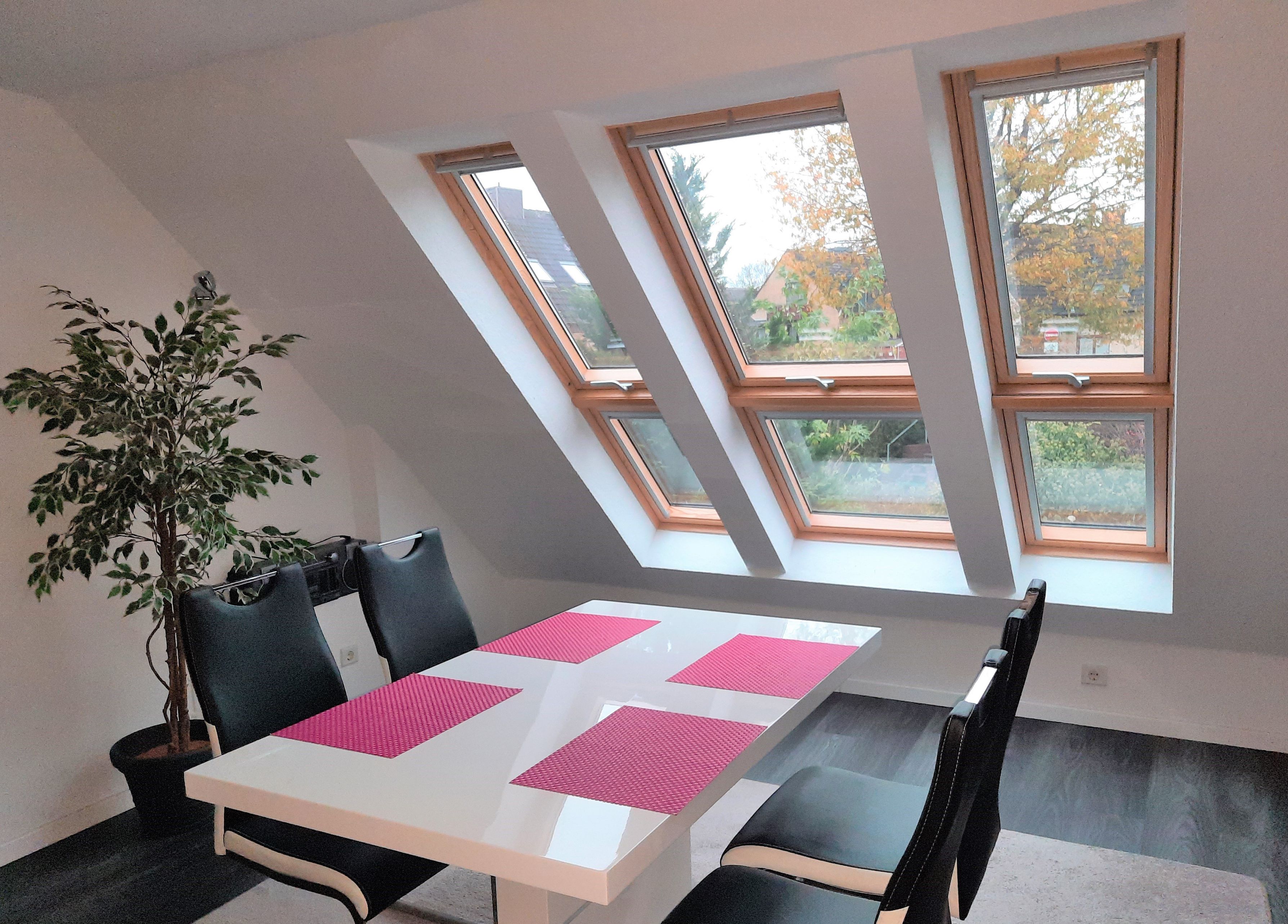 Velux Fenster